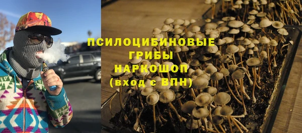бутират Алексин