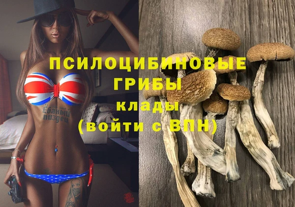 ALPHA-PVP Алексеевка